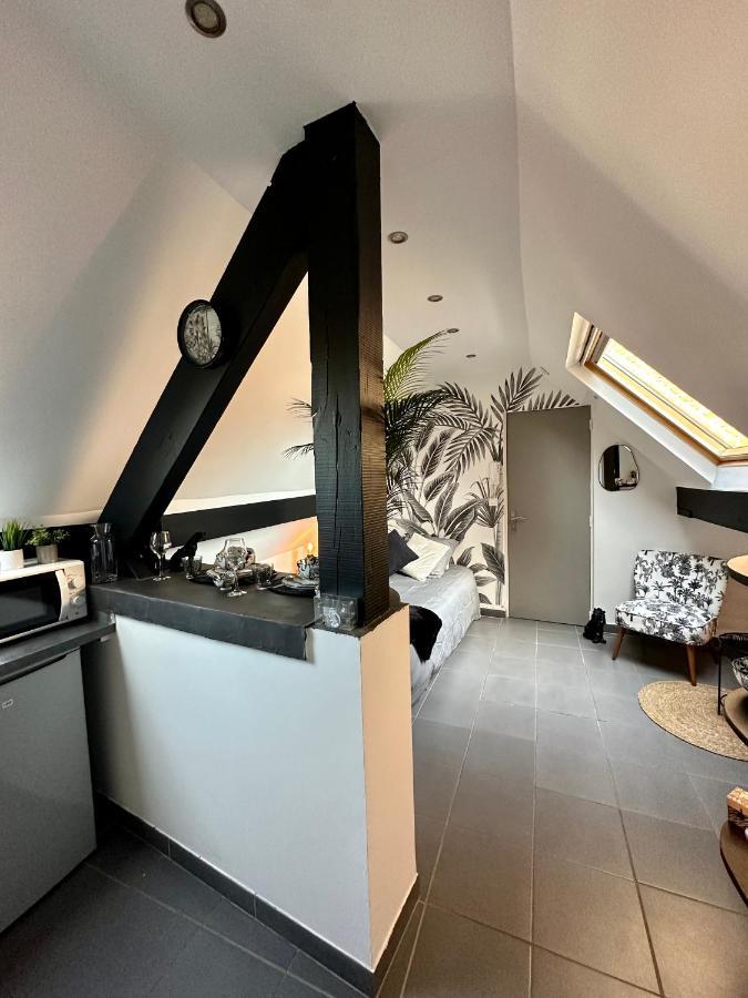 Studio Chaleureux Hypercentre Amiens Extérieur photo